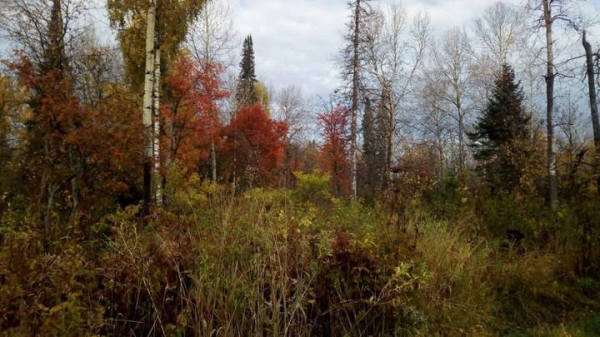 1666e55980927f44754e80298b964e2d Ищут пятые сутки: что известно о пропаже семьи в горах Красноярского края