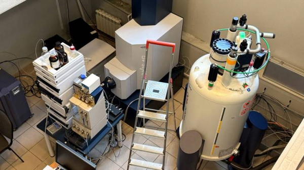 181bd1e18b239d86f014880e364894b8 «Бриллианты под видом камней для аквариума»: как на таможне ловят контрабандистов