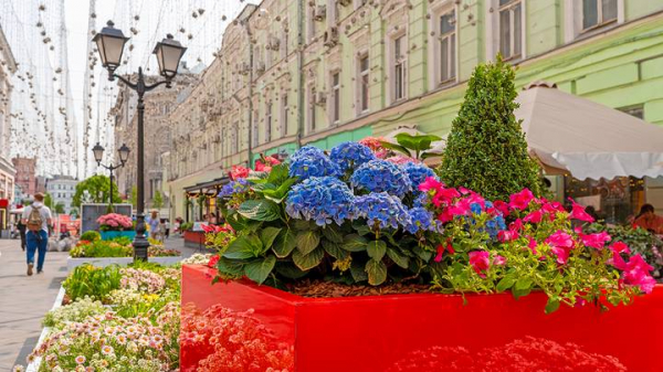 220dc04a39e40833f8753ccae8c01778 Фестиваль «Сады и цветы»: как Москву превращают в городской оазис
