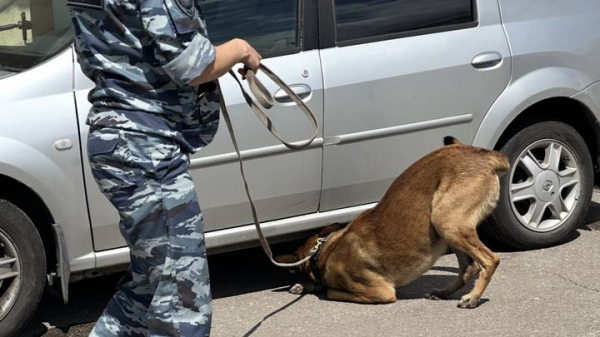 30698a589745058aa83fca4169c4d45d Тысячи камер, патрульные и кинологи: как полиция охраняет московское метро