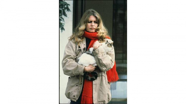 375a3036989a4523bd240a875b770ccd Гадкий утенок, ставший секс-символом: умерла Брижит Бардо