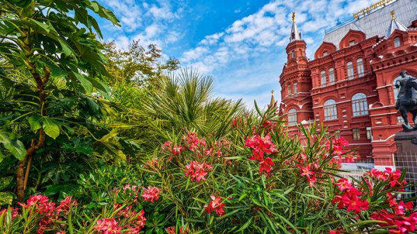 44897ebfbf8b3e48bc1ea43505d9c912 Фестиваль «Сады и цветы»: как Москву превращают в городской оазис