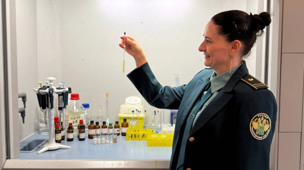 4a7dcfdc01a82b547f864b3bab99ccd2 «Бриллианты под видом камней для аквариума»: как на таможне ловят контрабандистов