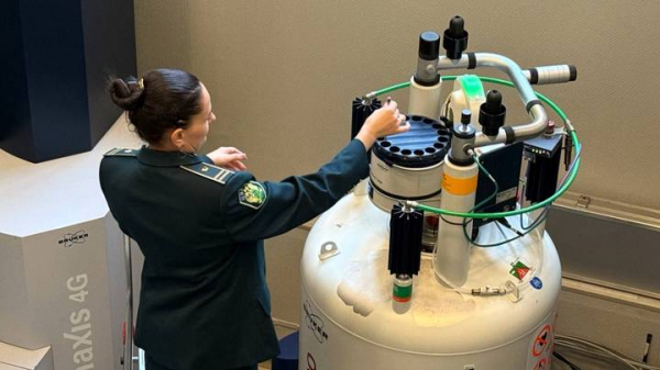 741d8faf66c659d1cafdac41976f3c42 «Бриллианты под видом камней для аквариума»: как на таможне ловят контрабандистов