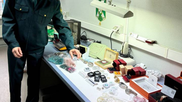 7648f84e324a28a095c88a882dcba30b «Бриллианты под видом камней для аквариума»: как на таможне ловят контрабандистов