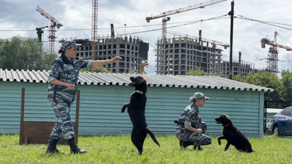 88fe604cefe6193c607bab45cf866270 Тысячи камер, патрульные и кинологи: как полиция охраняет московское метро