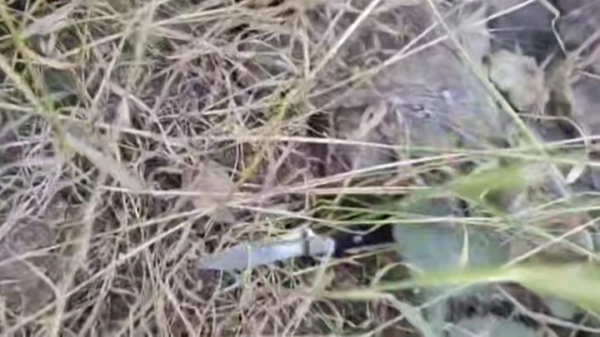 8d93d67759eb1eb0b788ab541b85a02b Убил на глазах у сына: за что житель Севастополя зарезал тещу посреди улицы