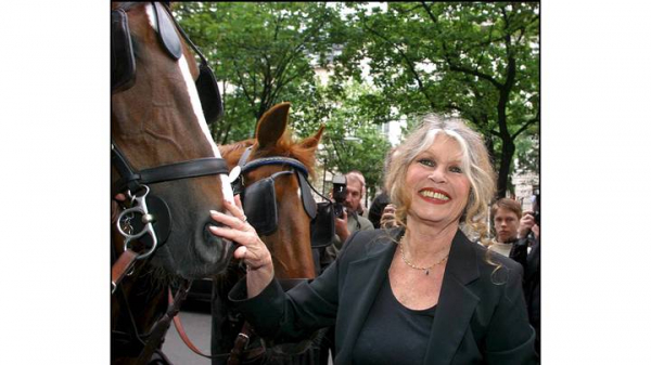 96e51e491650c285785bfb378fad8913 Гадкий утенок, ставший секс-символом: умерла Брижит Бардо