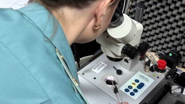 a10a384b3cecc908d3e6fccda08d1f41 «Бриллианты под видом камней для аквариума»: как на таможне ловят контрабандистов