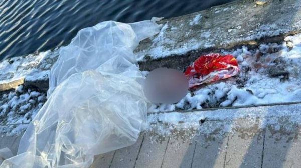 a6f9bd9f943dd9cb3834e48a3b3848a7 Отрубили голову и выбросили в пруд: главное об убийстве мальчика в Балашихе