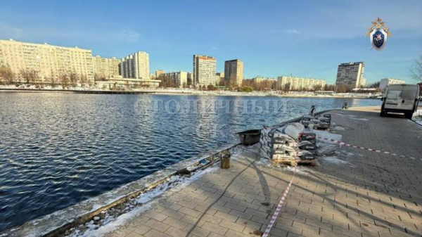 ba428cb89168efec015a16c0b9786a64 Отрубили голову и выбросили в пруд: главное об убийстве мальчика в Балашихе