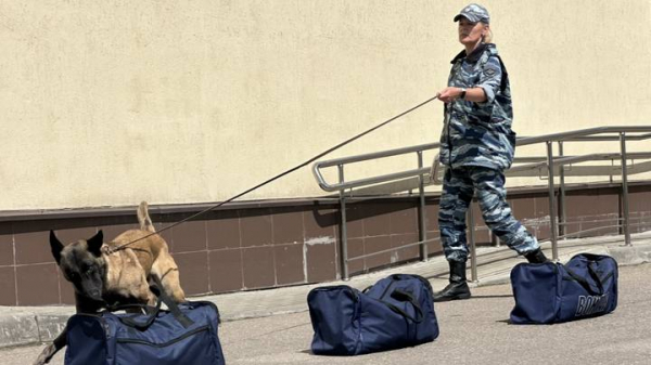 ca686ac66944eb625f4330ada1acff34 Тысячи камер, патрульные и кинологи: как полиция охраняет московское метро