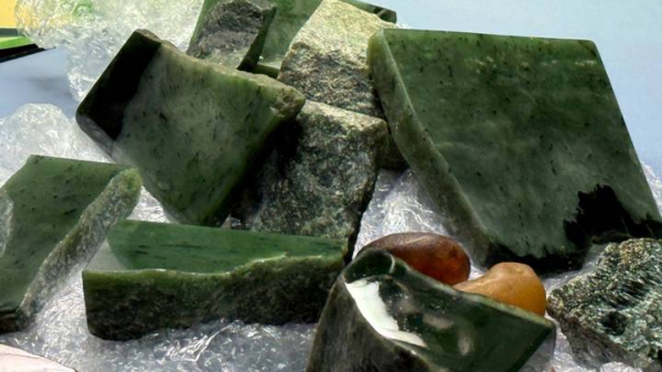 cdd83ecf01fcb23eeb1c878be56a460e «Бриллианты под видом камней для аквариума»: как на таможне ловят контрабандистов