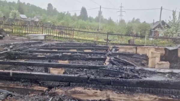 d3bed60ec8ac9eca4182ffc1196869f4 Сжег себя вместе с друзьями: главное о массовом убийстве подростков в Байкальске